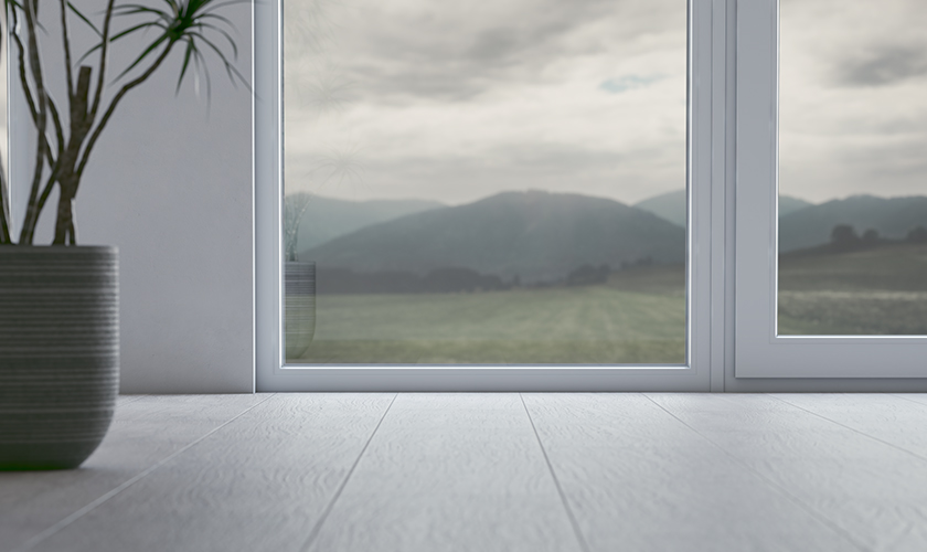 proEvolution-72-Salamander-foto